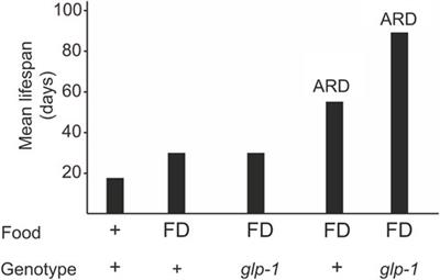 Decoding lifespan secrets: the role of the gonad in Caenorhabditis elegans aging